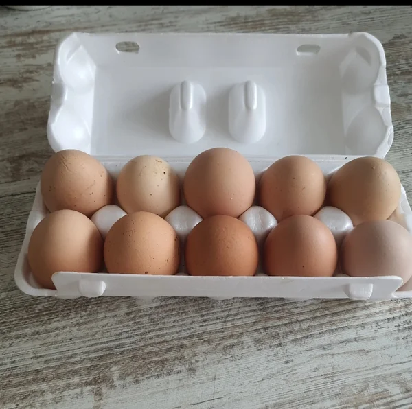 Яйца