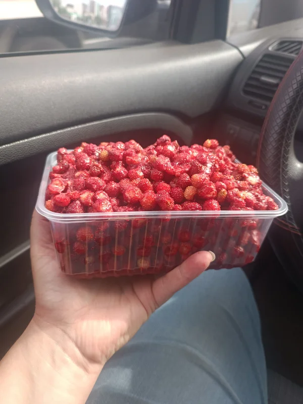Лесная земляника