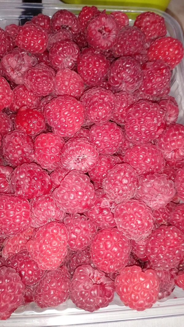 Спаржевая фасоль