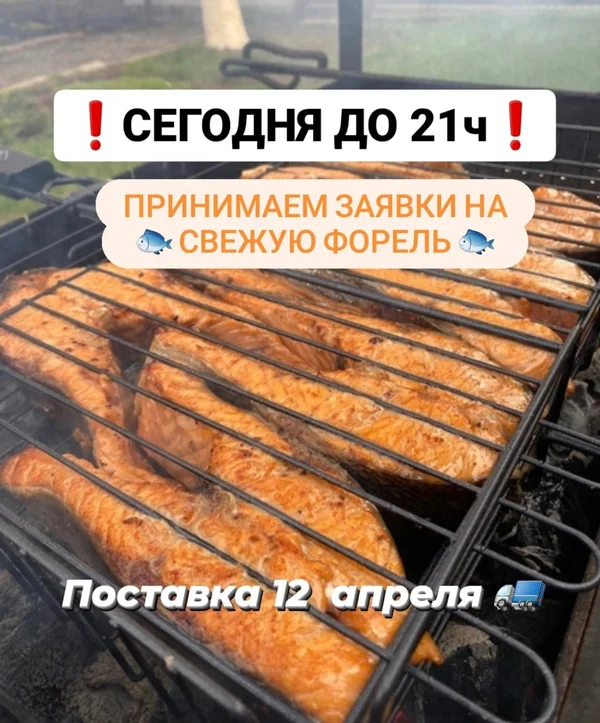 Форель охлажденная непотрошеная