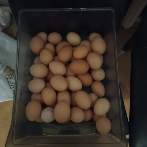 Яйца