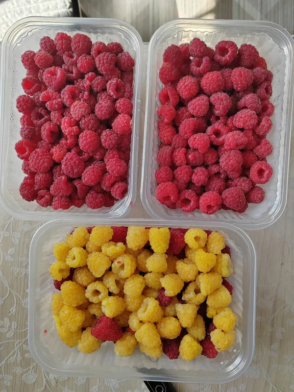 Малина