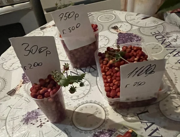 Лесная земляника