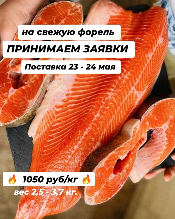 Форель