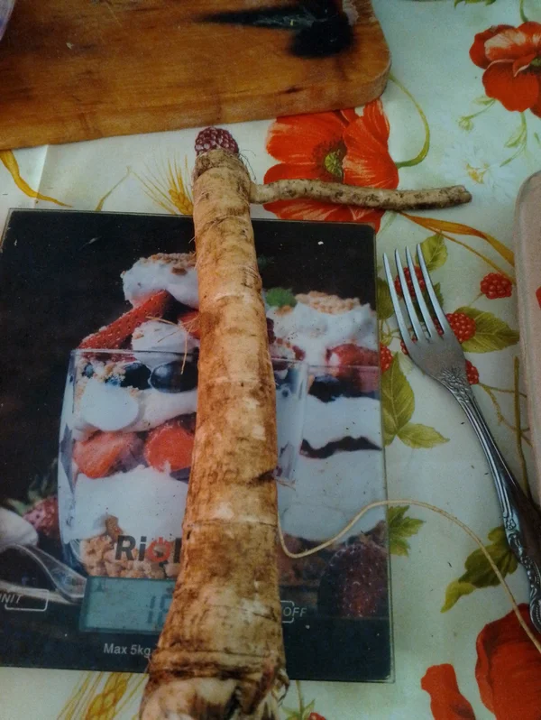 Хрен