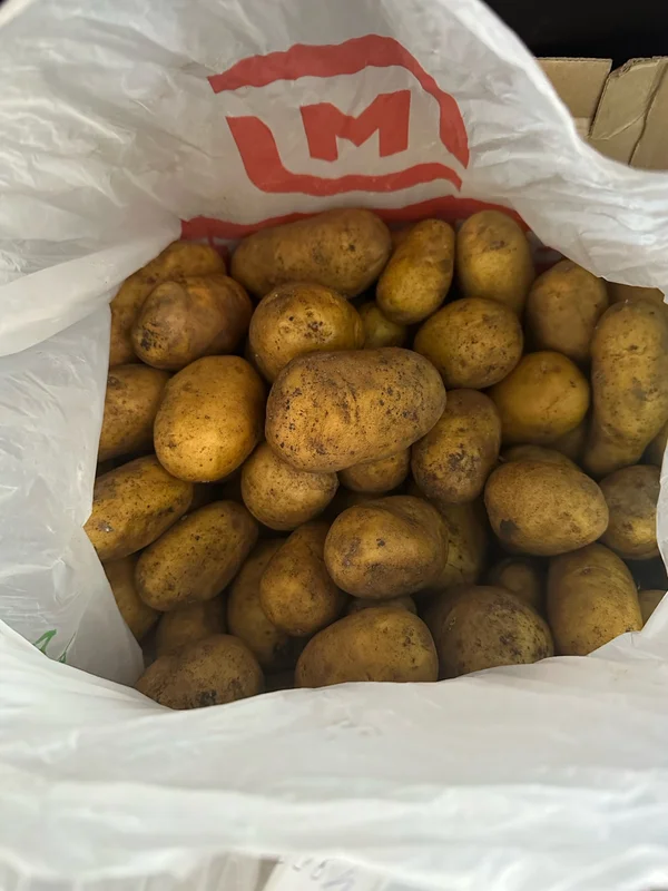 Домашний картофель