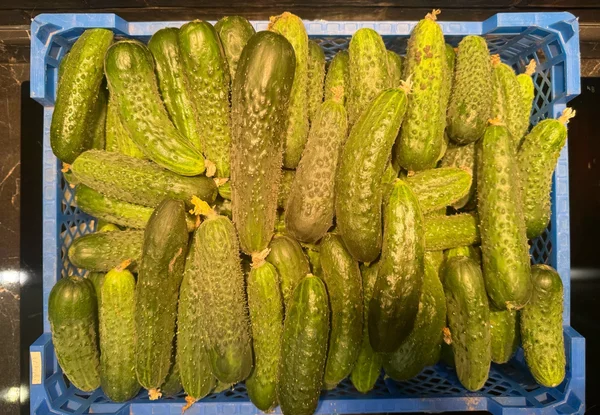 Огурцы