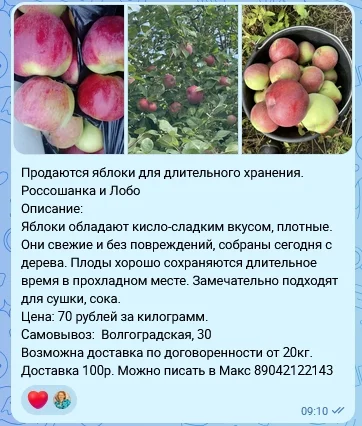 Яблоки