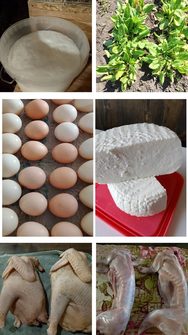 Яйца куриные