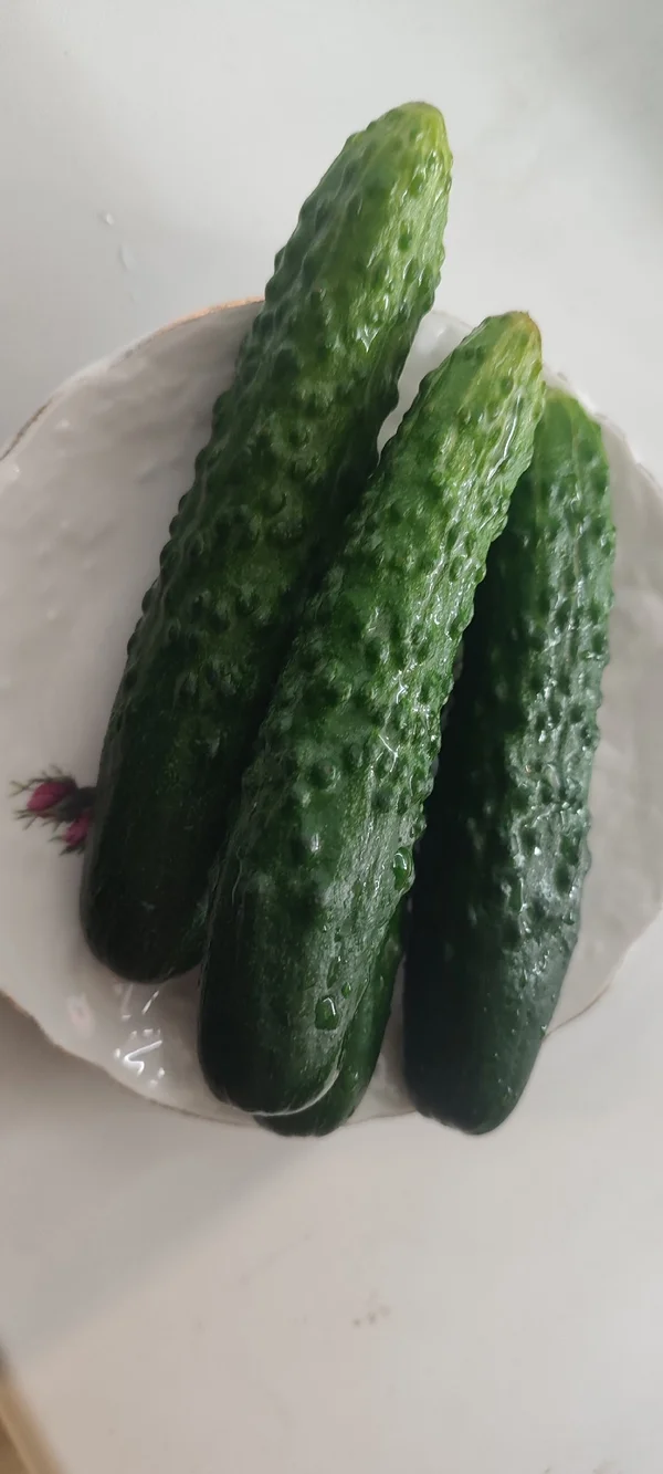 Огурцы