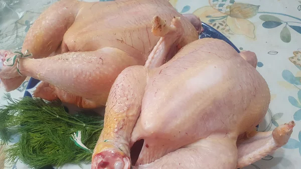Домашние курочки (бройлер)