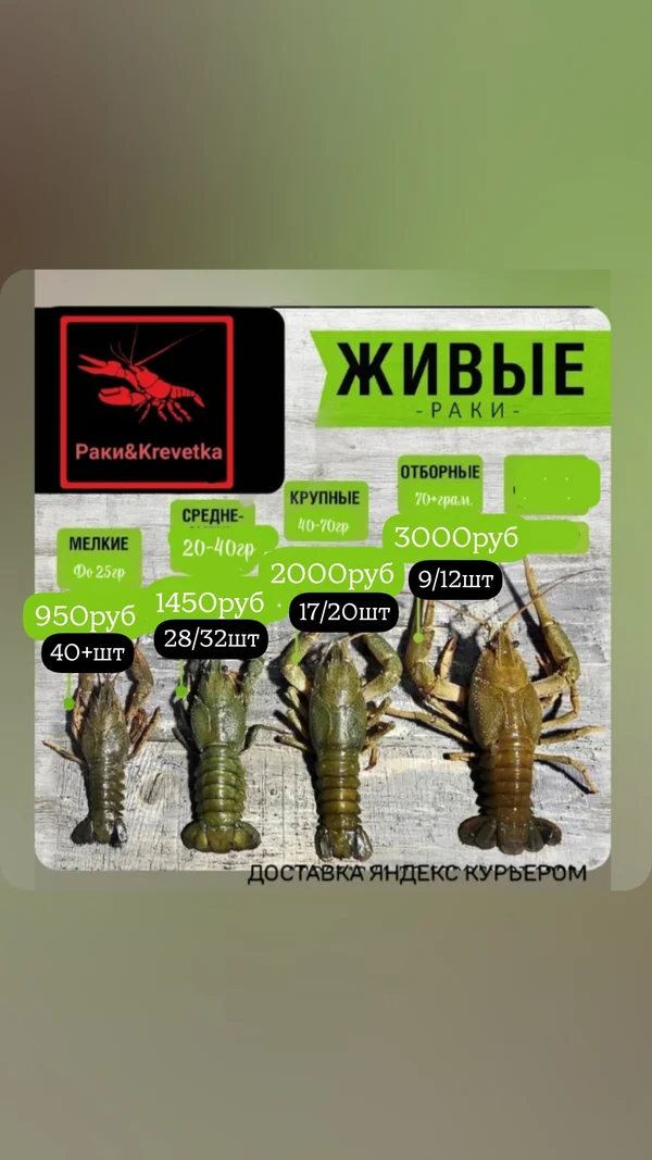 Раки