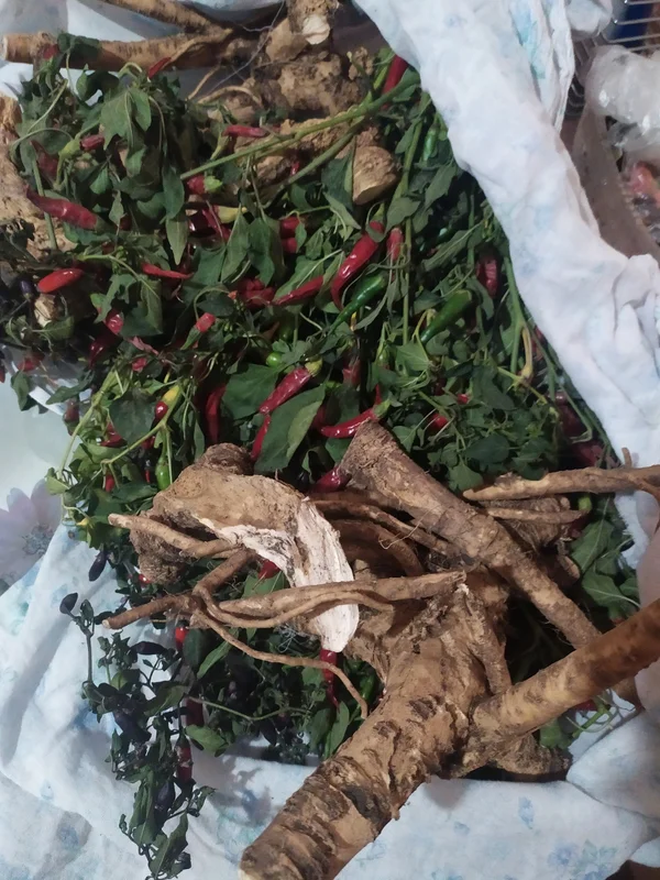 Перец болгарский сладкий