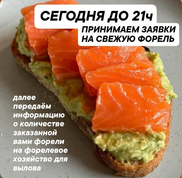 ФОРЕЛЬ ОХЛАЖДЕННАЯ НЕПОТРОШЁНАЯ