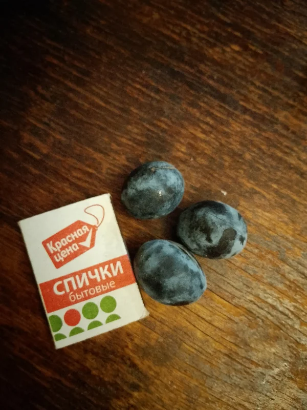 Чернослив