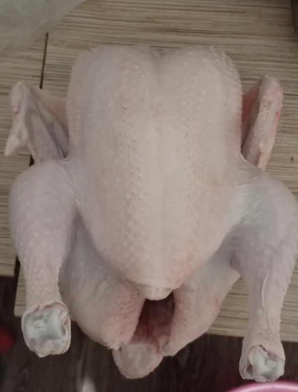 Курица