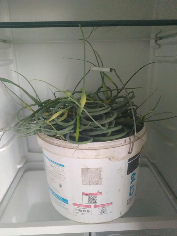 Стрелки