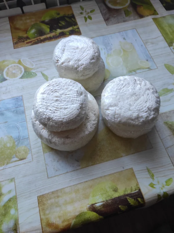 Сыр адыгейский