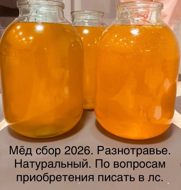Мед