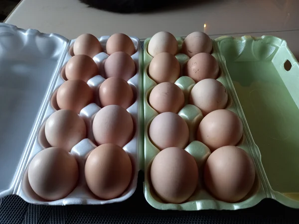 Яйцо домашнее