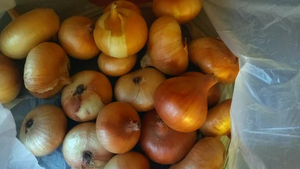 Лук