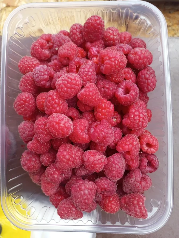 Малина