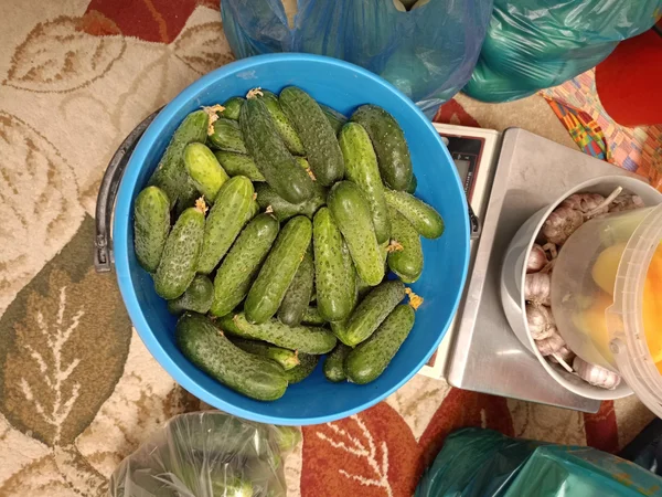 Огурцы