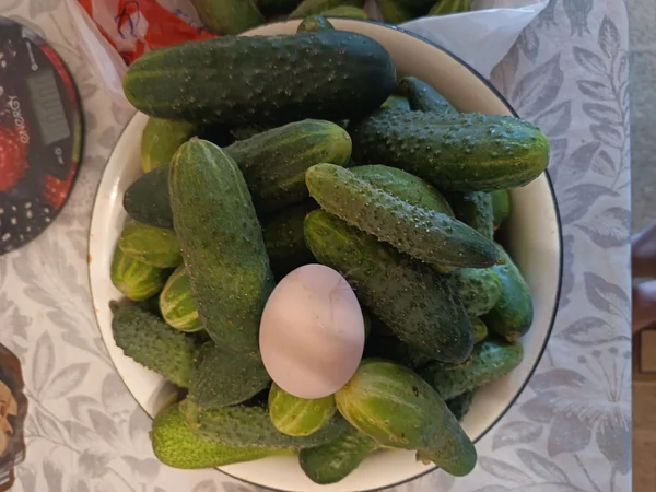Огурцы