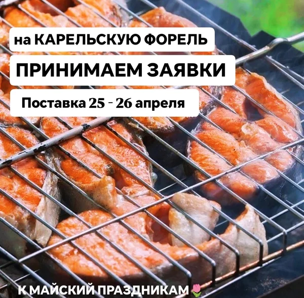 Форель охлажденная непотрошёная