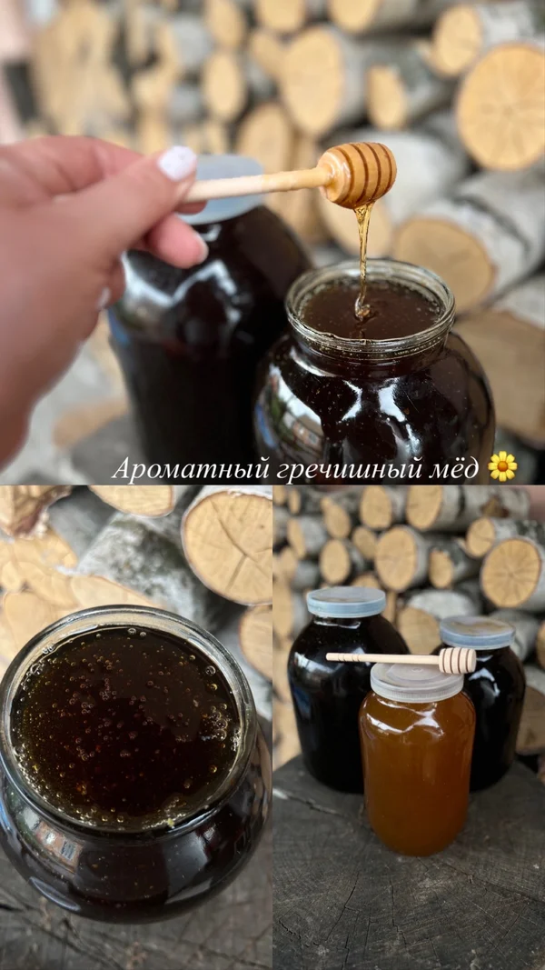 Гречишный мёд