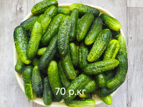Огурцы