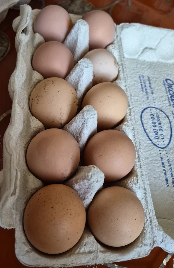 Яйцо домашнее куриное