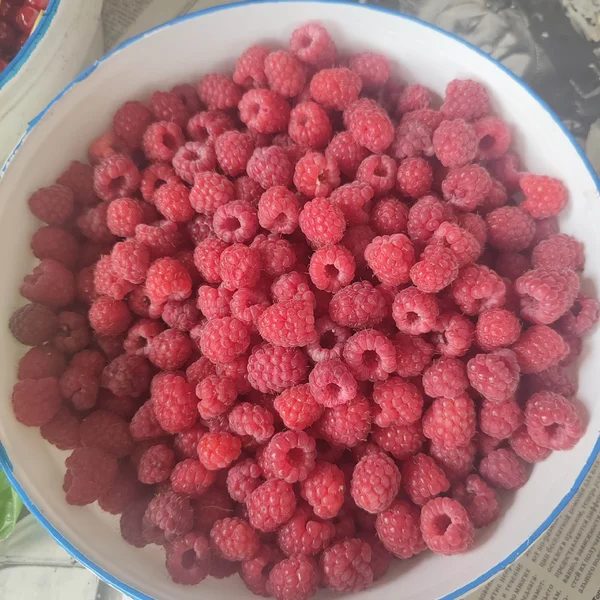 Малина