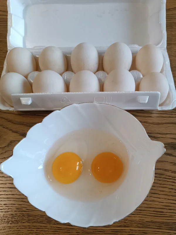 Утиные и куриные яйца