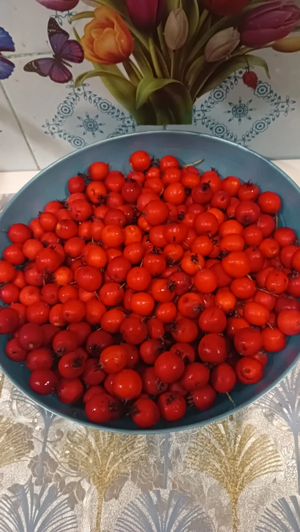 Помидоры крупные