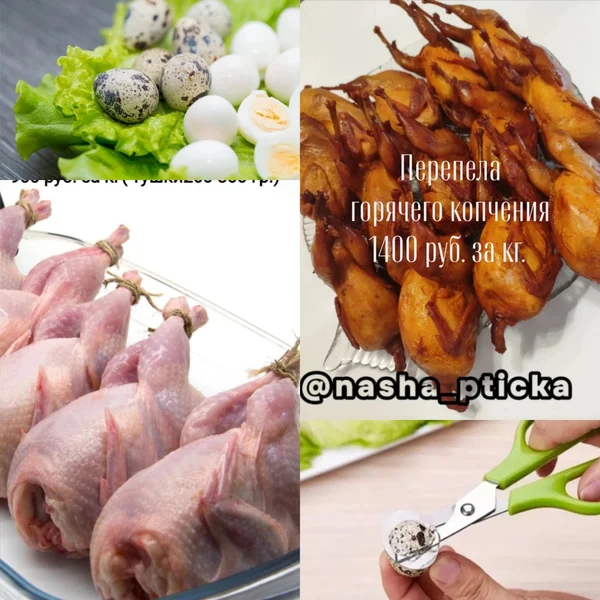 Перепелиные яйца