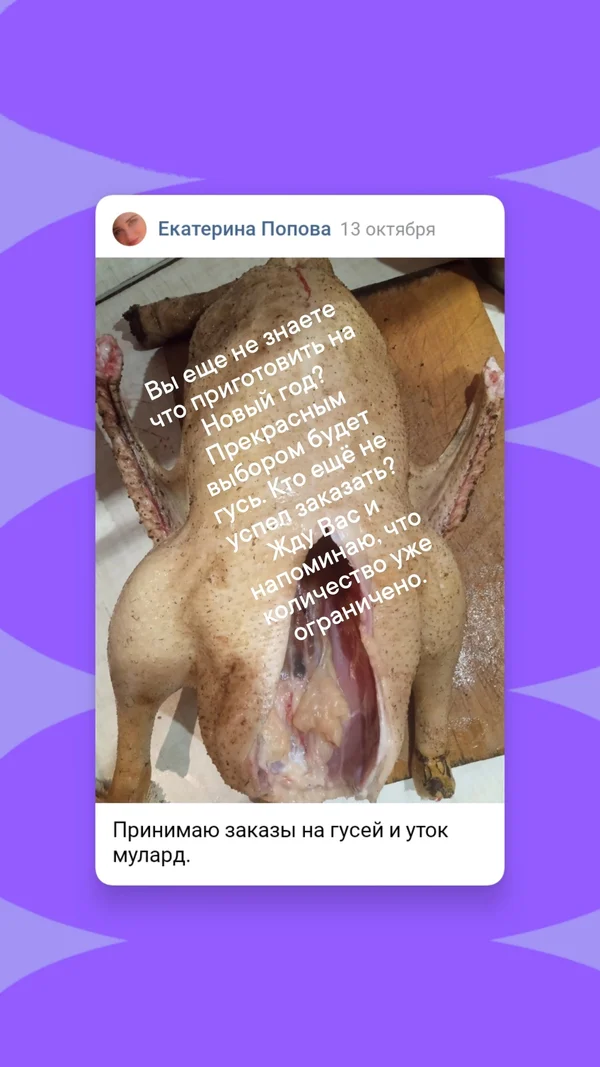 Гусь