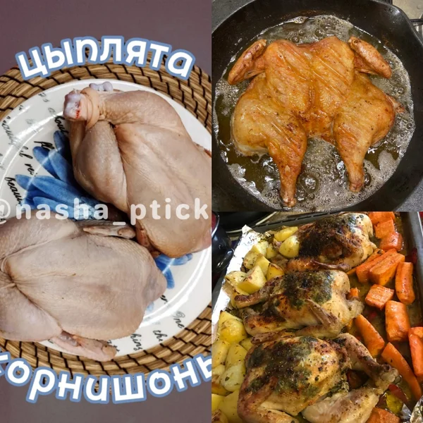 Цыплята Корнишоны
