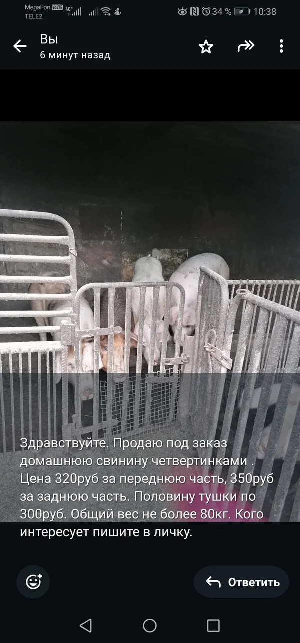 Свинина