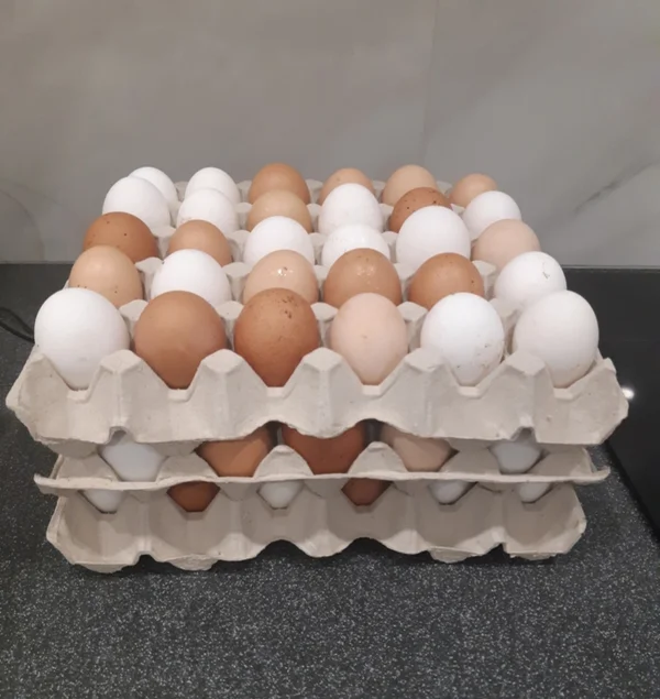 Куриные яйца