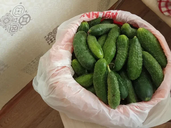 Огурцы