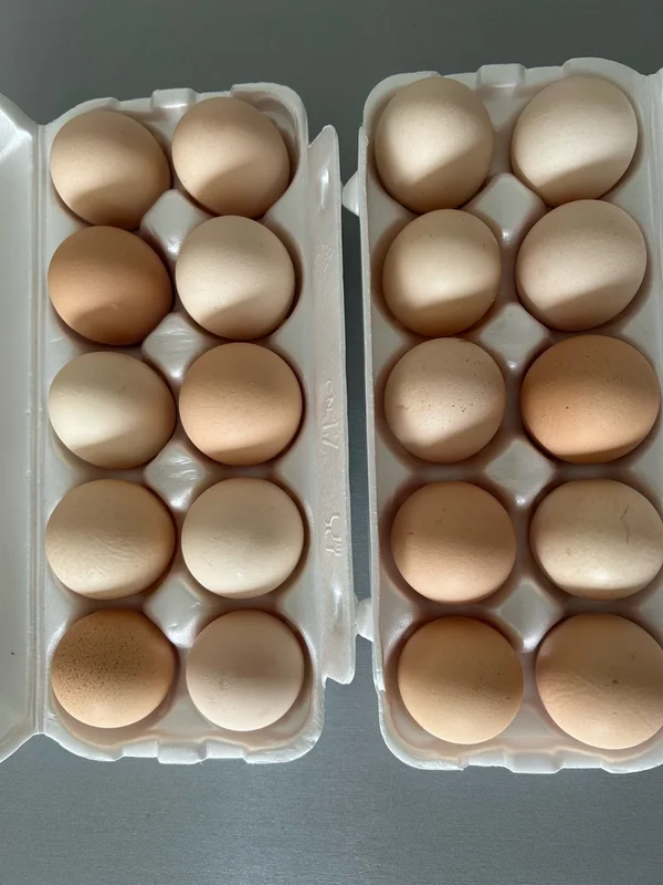 Кабачки