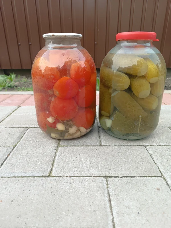 Огурцы