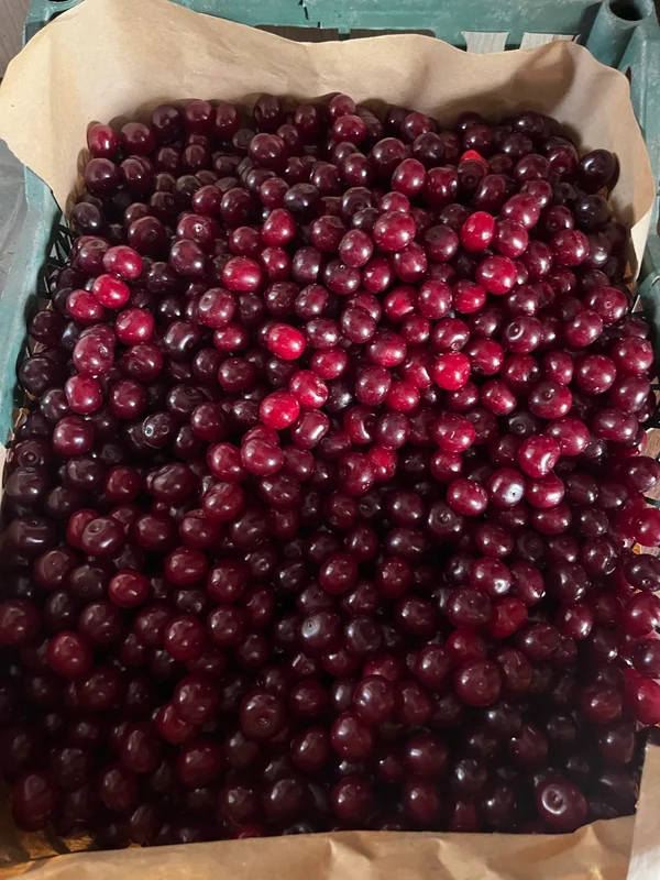 Не указано