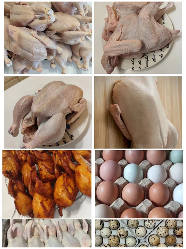 Куриные яйца