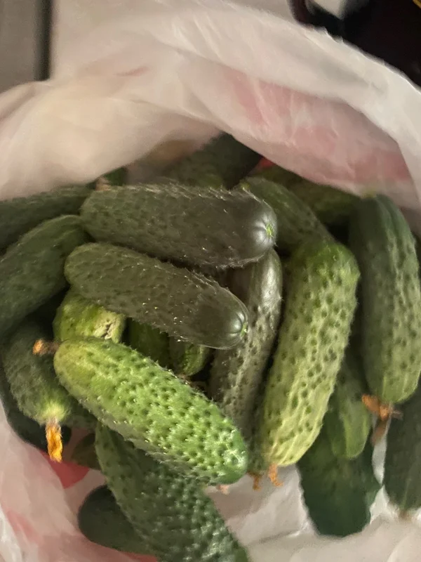 Огурчики