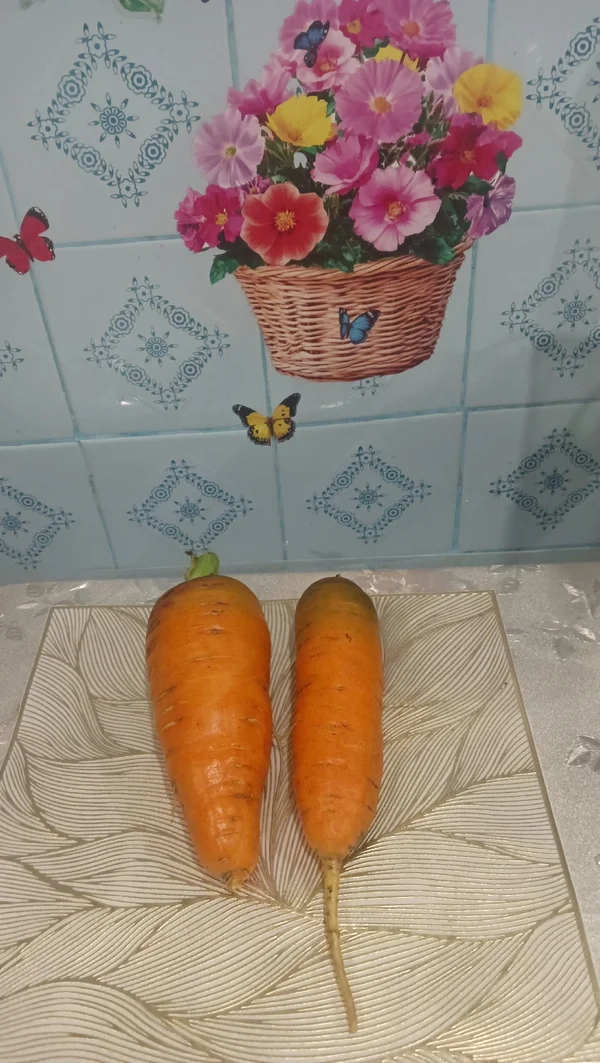Помидоры