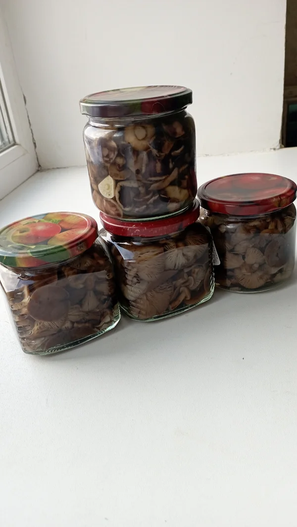 Опята маринованные