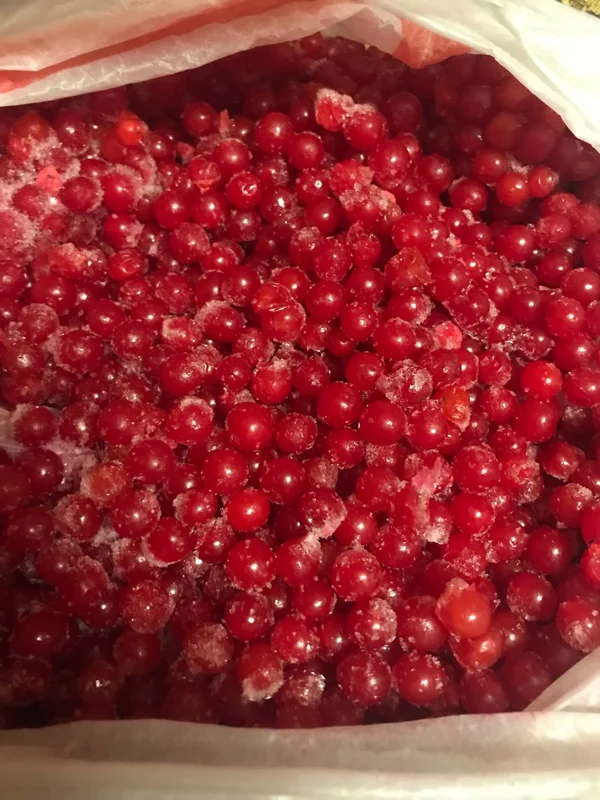 Калина садовая замороженная