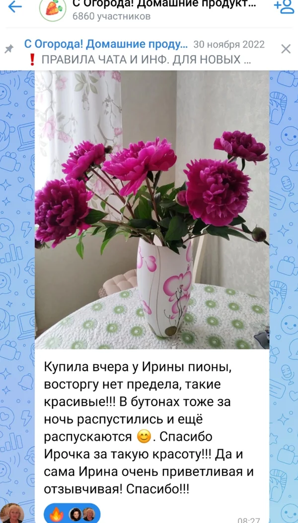 Пионы
